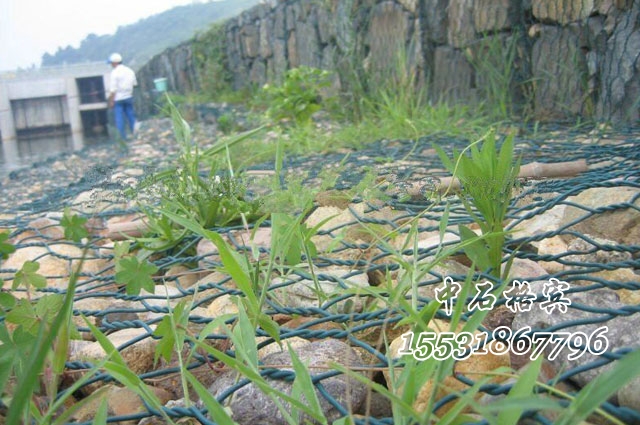 賓格網