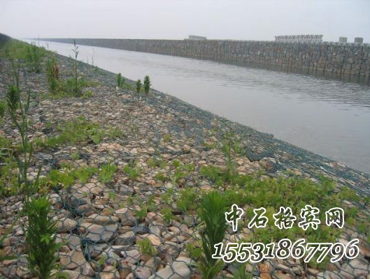 河道護(hù)坡綠濱墊 河道護(hù)坡綠濱墊