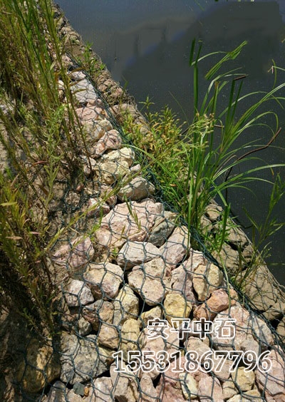 固濱籠網(wǎng)護腳 固濱籠網(wǎng)護腳
